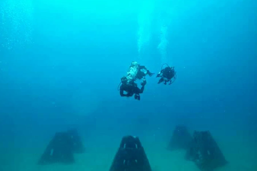 Building a Reef, Building a Legacy