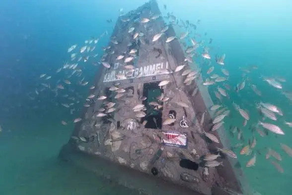 A pyramid memorial reef with a name plaque, swarmed by hundreds of fish.