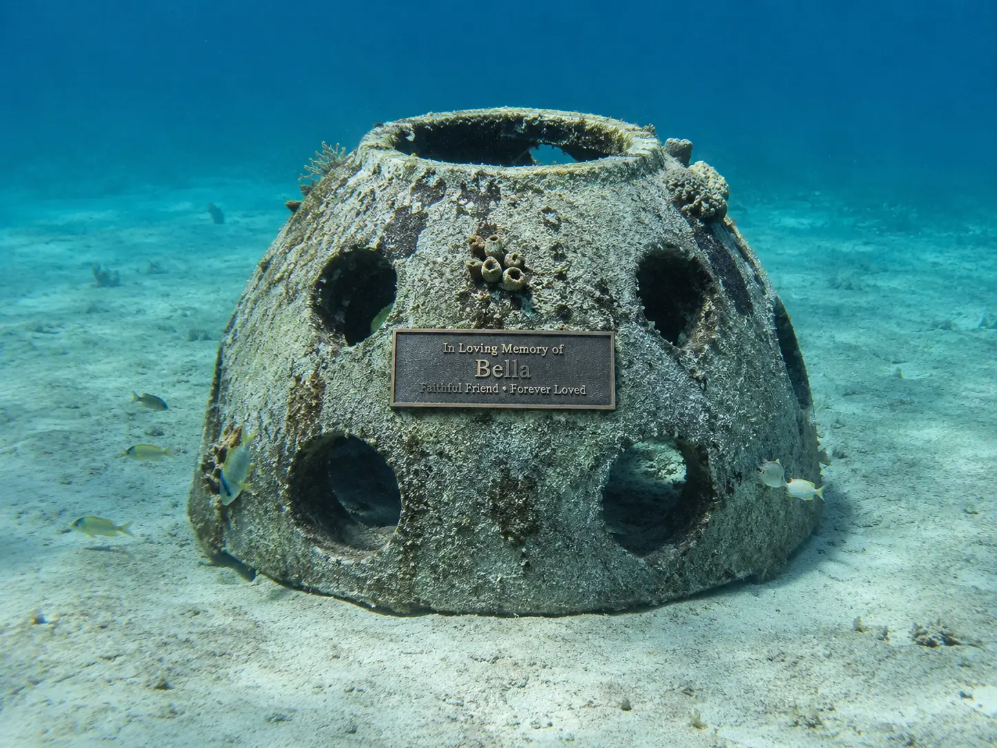 A Pet Memorial Reef pod with a personalized 'In Loving Memory' plaque on the sandy seafloor.