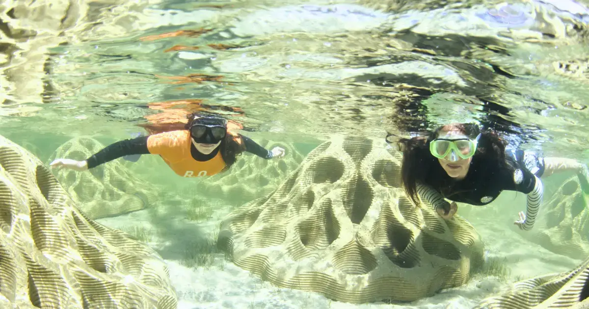 Two snorkelers glide over sculpted artificial reef structures in clear water.